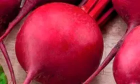 Описание внешнего вида, вкуса2