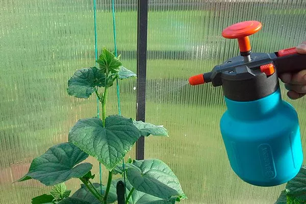 Опрыскивание и полив