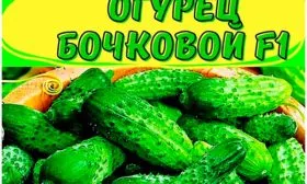 История создания