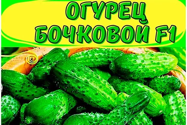 История создания