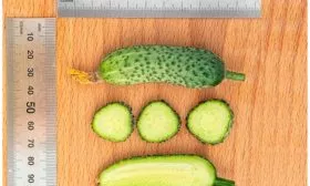 Внешние показатели зеленцов