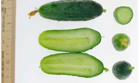 Вкусовые качества и назначение