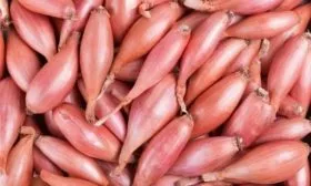 особенности лука Деликатес