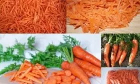 Особенности применения Моркови Нантская 4