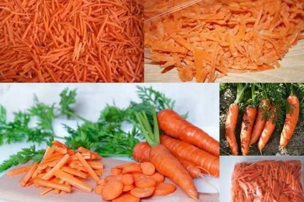 Особенности применения Моркови Нантская 4