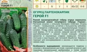 Герой огурец