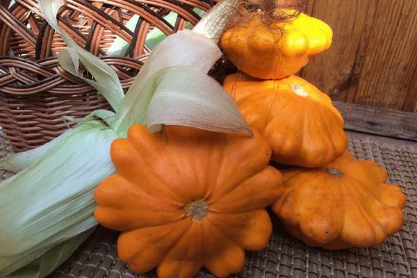 патиссон Оранжевый