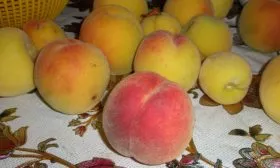 Персик Донецкий жёлтый урожай