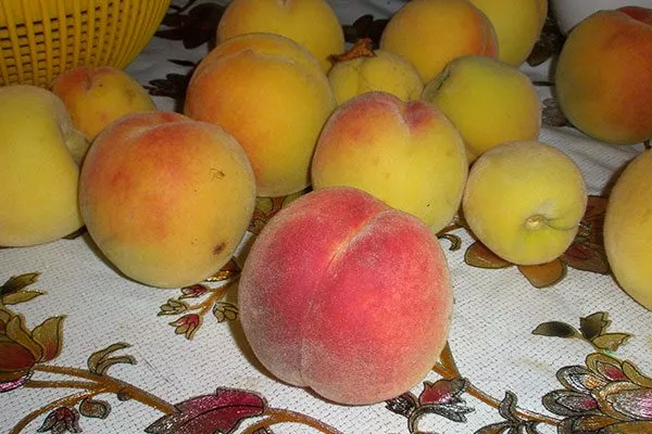 Персик Донецкий жёлтый урожай