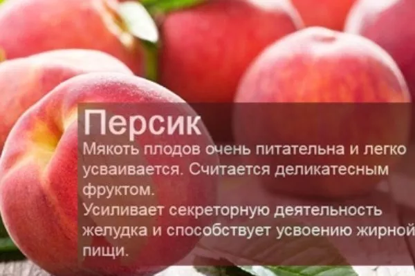персик Гринсборо польза персиков