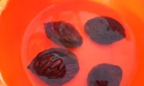 персик Гринсборо Размножение персика - Проращиванием косточки