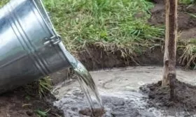 влагозарядный полив Медового