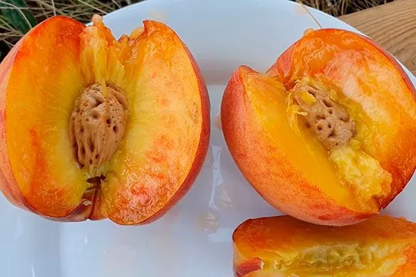 персик Посол Мира вкус