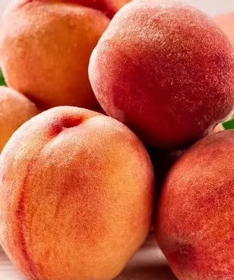 спелые персики сорта Уралец