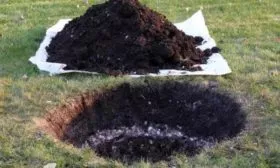 Персик Вайн Голд (Тардив Т-3): грунт для посадочный ямы