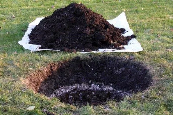 Персик Вайн Голд (Тардив Т-3): грунт для посадочный ямы