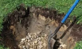 Персик Вайн Голд (Тардив Т-3) подготовка посадочный ямы