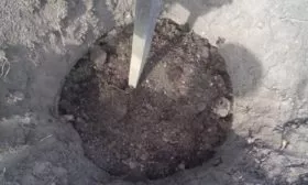 Персик Вайн Голд (Тардив Т-3) установка кола в яму