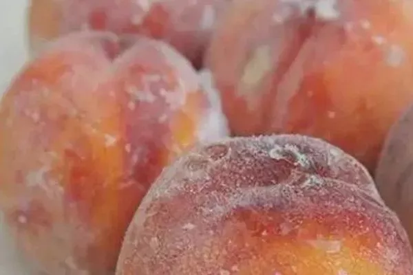 Персик Вайн Голд (Тардив Т-3) заморозка персиков