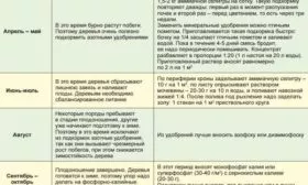 чем удобрять персик Воронежский