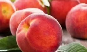 плоды Кардинал