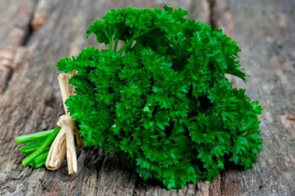 Петрушка Мооскраузе к столу