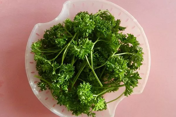 Петрушка Мооскраузе применение