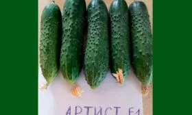 Внешние и вкусовые характеристики