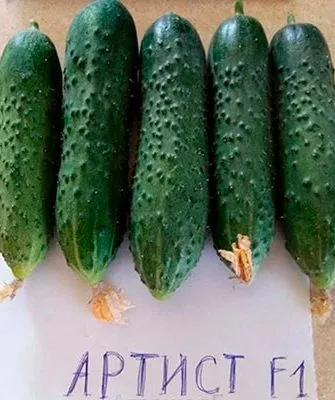 Внешние и вкусовые характеристики