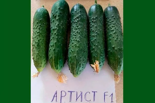 Внешние и вкусовые характеристики