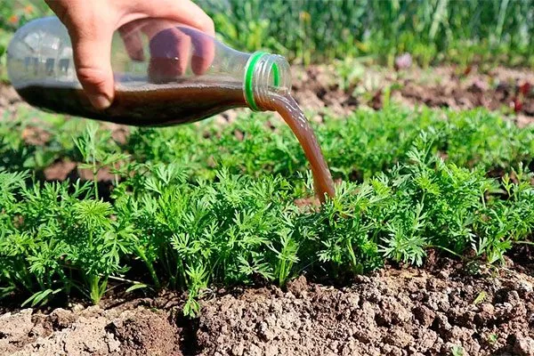 Питание растений