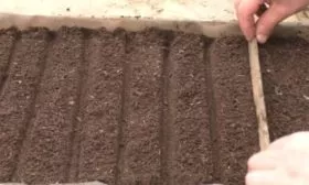 подготовка грунта под посев лука Русский зимний