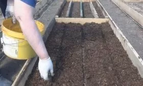 подготовка грядки под огурцы Квирк