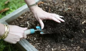 подготовка участка