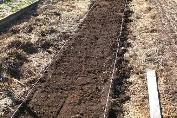 подготовка грядок под посадку огурцов Окошко