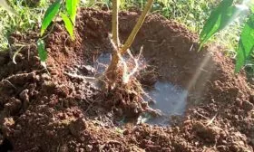 Подготовка и посадка