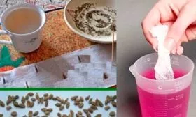 Подготовка к посадке