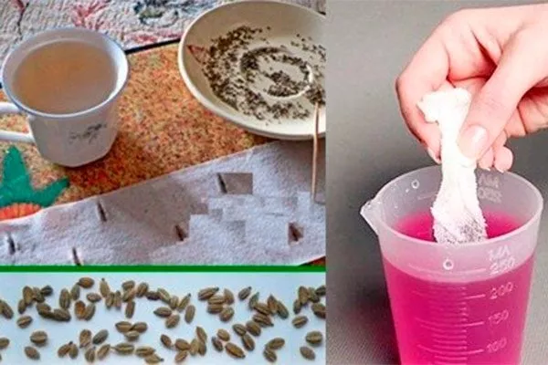 Подготовка к посадке