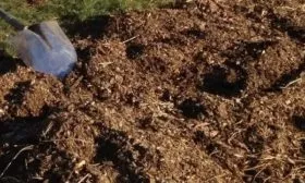 подготовка огорода к посадке нантской 4: внесение компоста