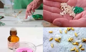 Подготовка семенного материала