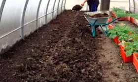 Подготовка участка