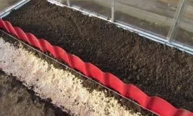 подготовка участка для посадки огурцов сорта Атос