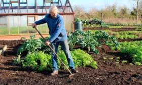 Подготовка участка на огороде