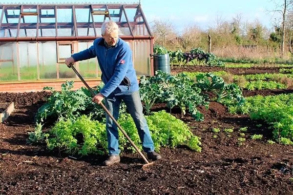 Подготовка участка на огороде