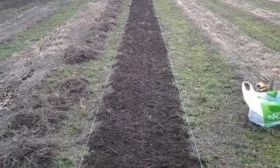 подготовка участка под посадку лука Русский зимний