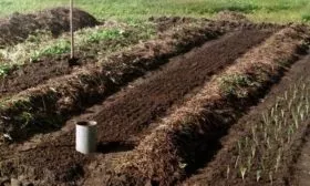 подготовка участка под посадку огурцов Будь здоров