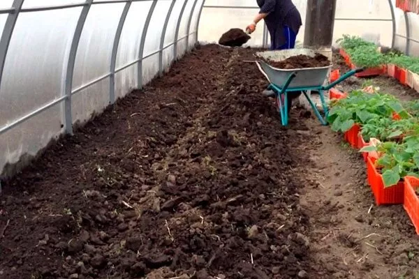 Подготовка участка в теплице