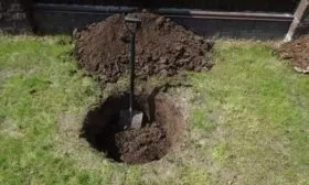 подготовка ямы под посадку сливы Память Тимирязева