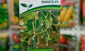 Представление о сорте