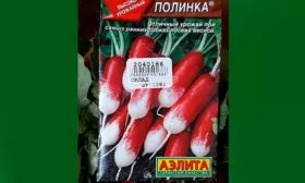 Полинка